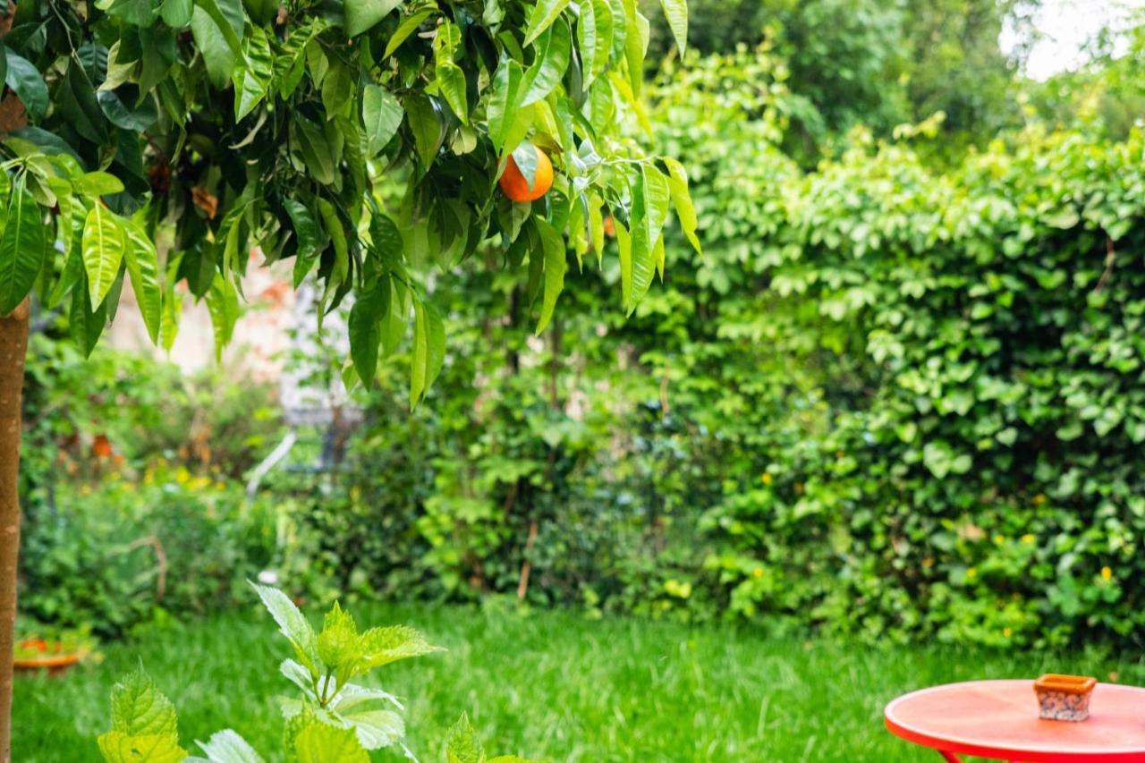 Marylou Gardenhouse Apartamento Pisa Exterior foto