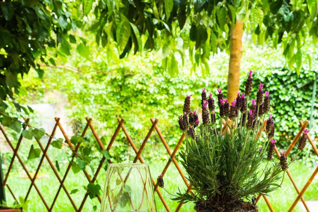Marylou Gardenhouse Apartamento Pisa Exterior foto